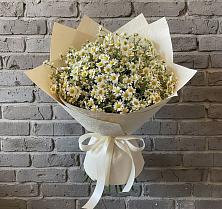Букет цветов из:  Ромашки в Зарайский