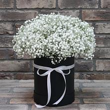 Цветочная композиция из Гипсофила в шляпной коробке в Зарайский