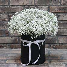 Цветочная композиция из Гипсофила в шляпной коробке в Зарайский