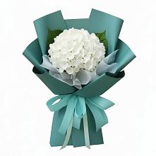 Букет цветов из:  Гортензия в Зарайский